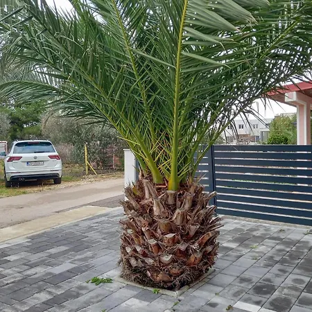 Apartment 1 Bedroom In